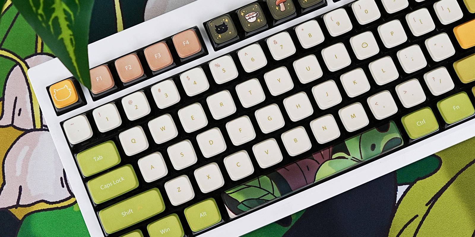 Keycap Collab Spotlight: Thekapco x Senpao