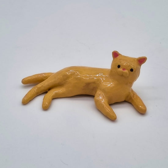 The Orange Cat