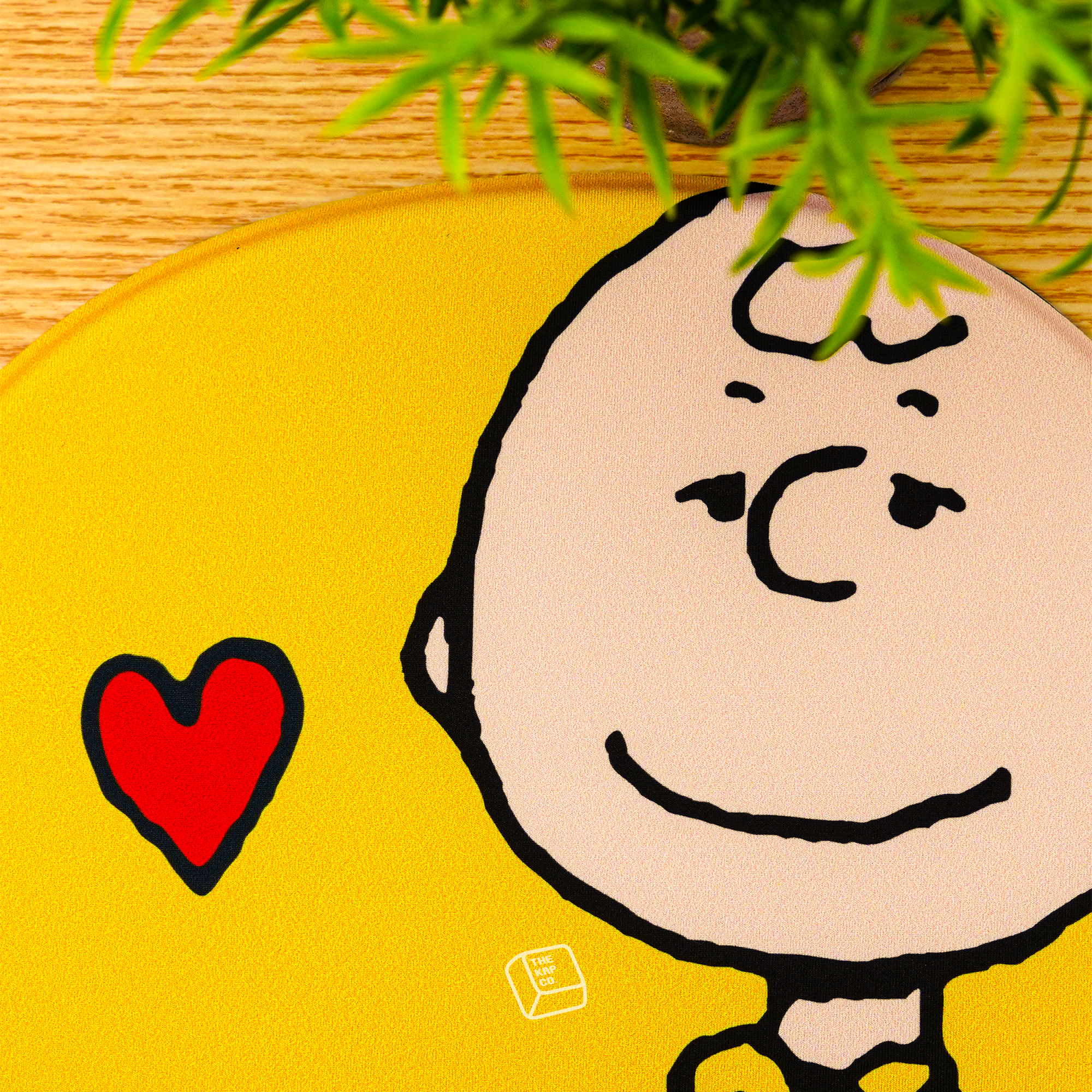 Thekapco x Peanuts | A Boy Named Charlie Brown Full Set