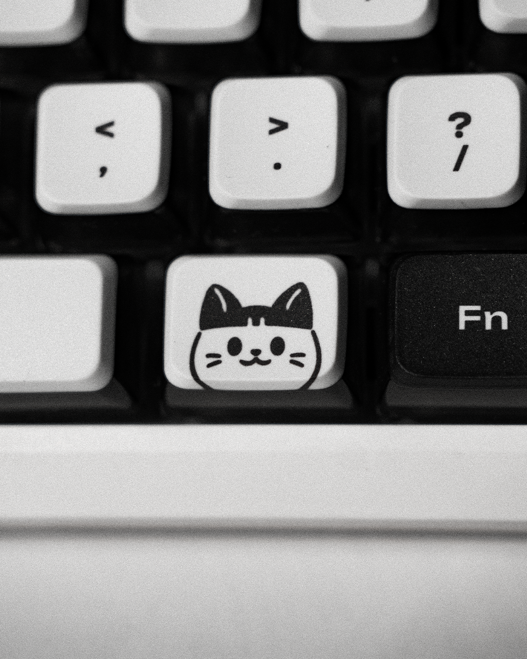 KeycapOverlook_Doudle_2_10.png