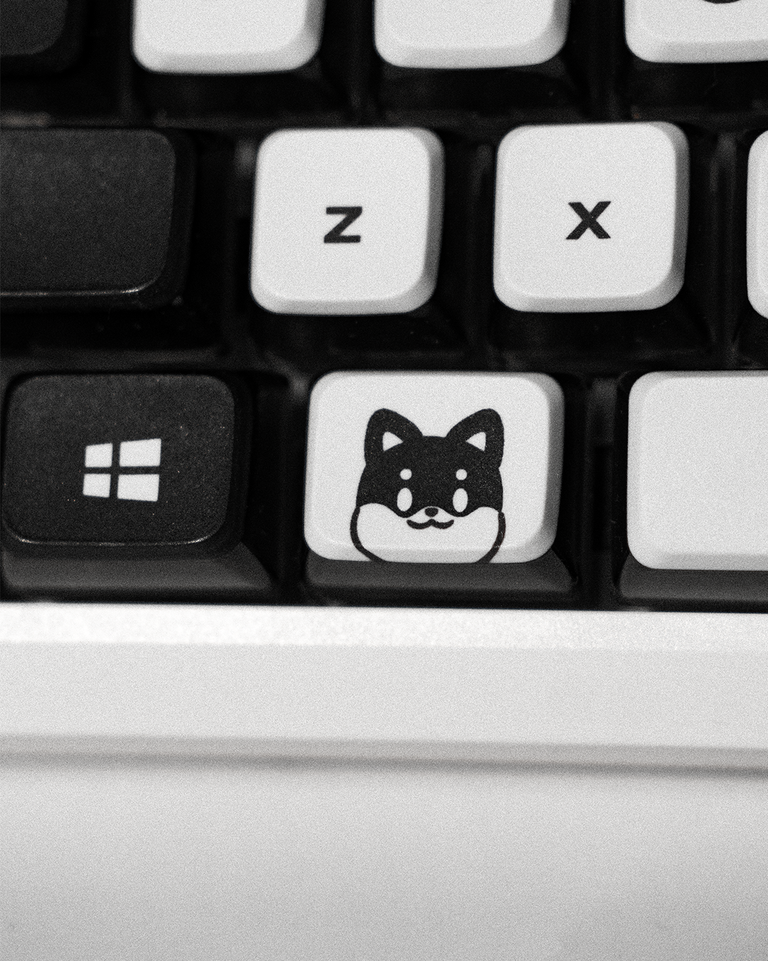 KeycapOverlook_Doudle_3_10.png