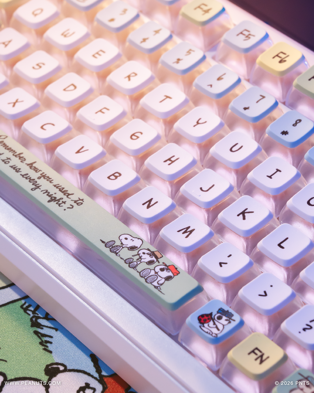 Lifestyle_Photo_-_Sleepy_Olaf_12.png