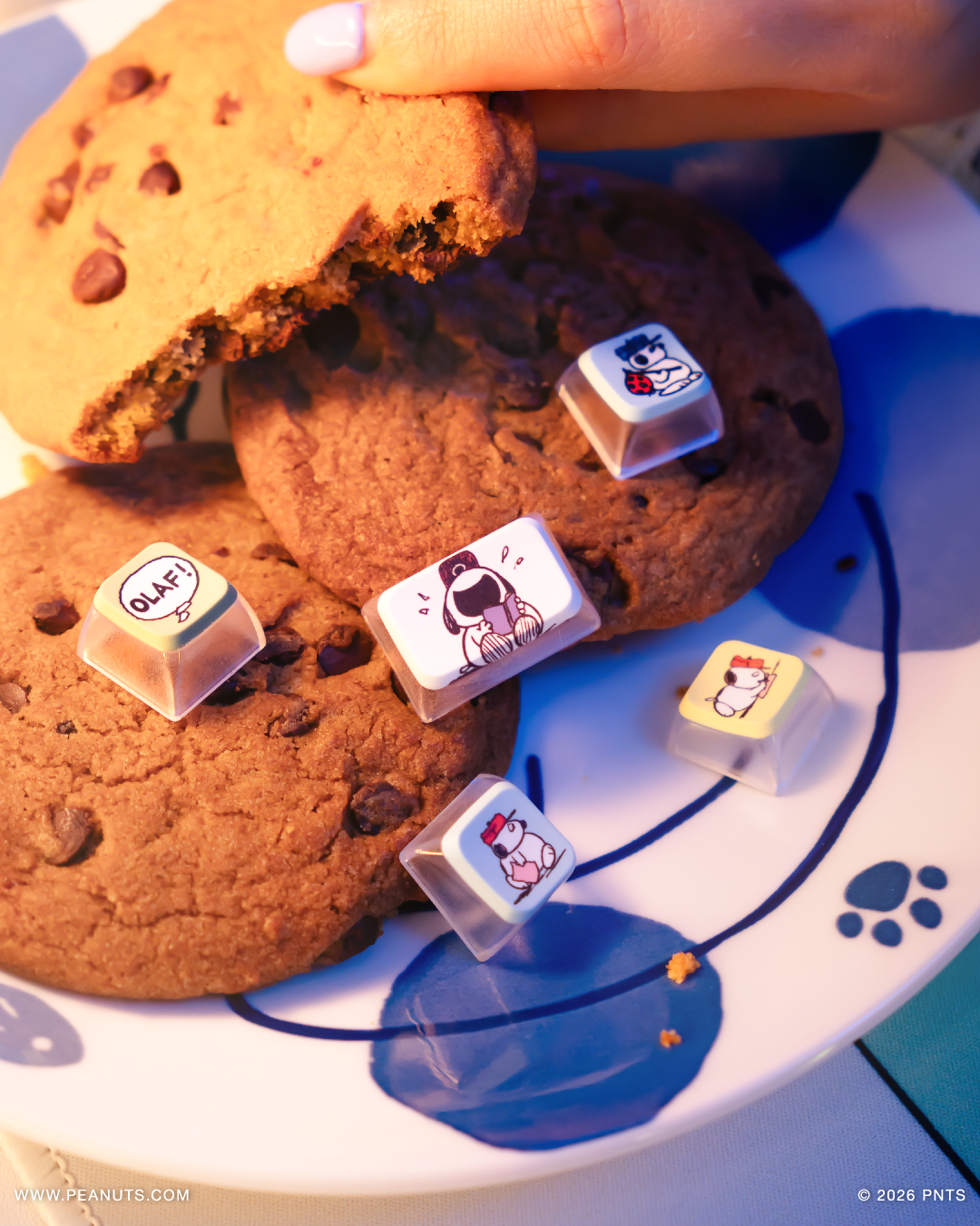 Lifestyle_Photo_-_Sleepy_Olaf_20.png