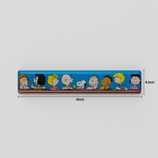 Thekapco x Peanuts | The Peanuts by Schulz Wristrest