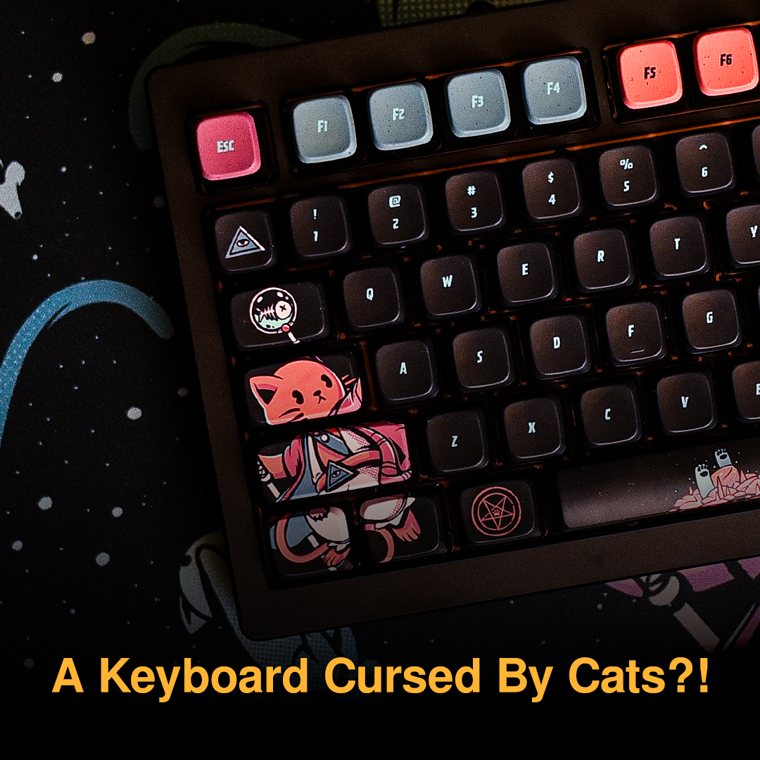 A Keyboard Cursed By Cats?!
