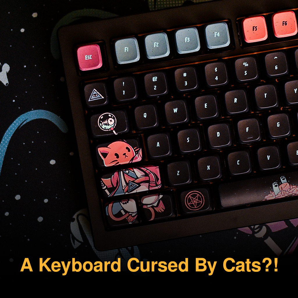 A Keyboard Cursed By Cats?!