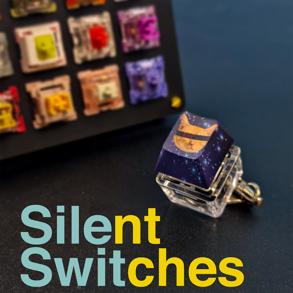 Silent Switches: Beginner Friendly Guide 104