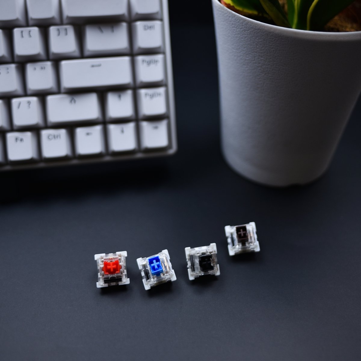 Best switch color for beginner mechanical keyboard users. – Thekapco