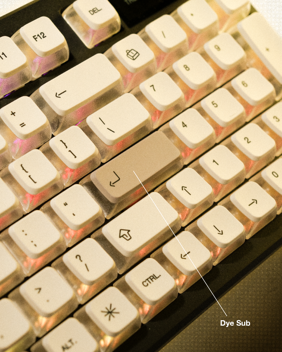 6_2cef3426-d457-47f6-a71f-143d8d0ebfa2.png