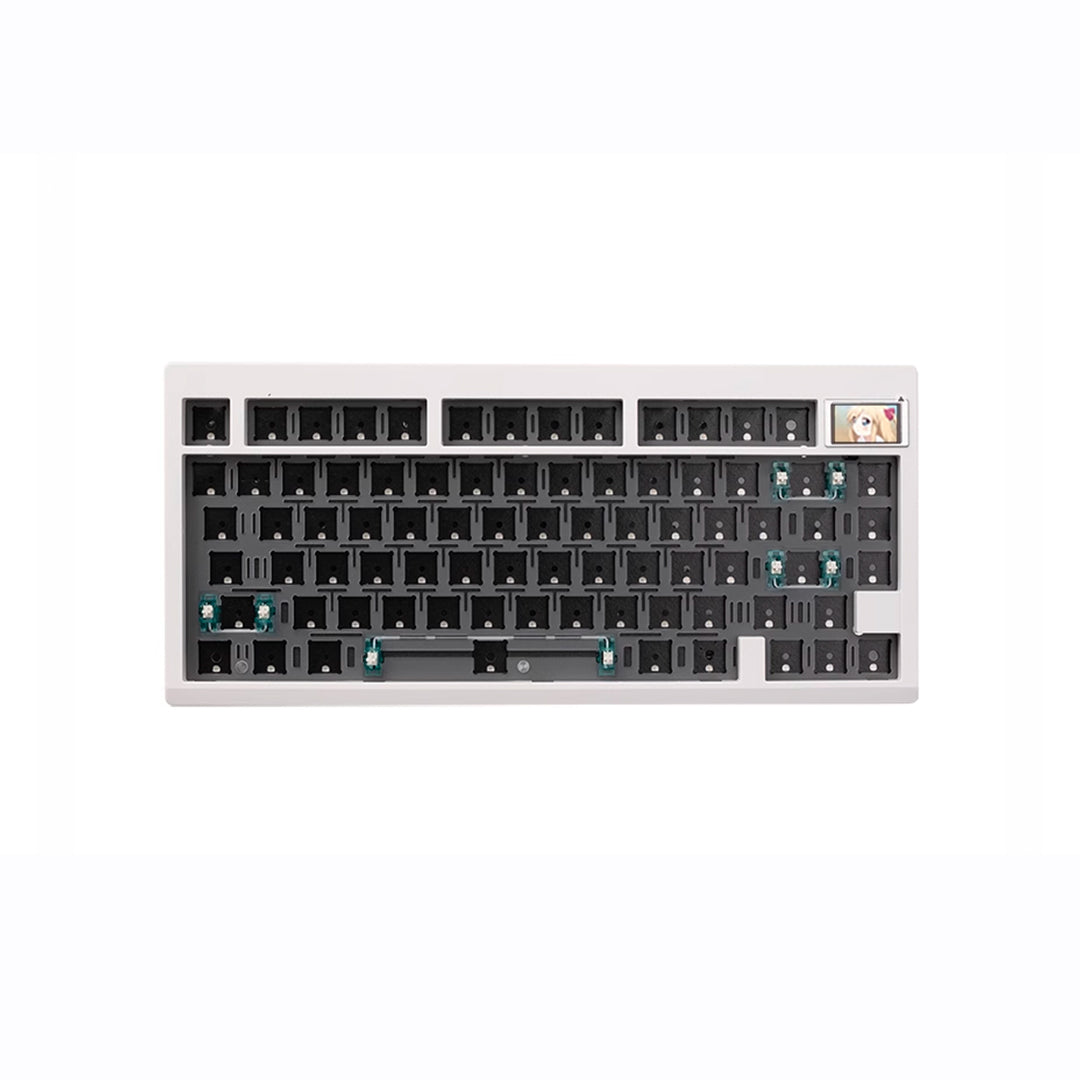 White / No Switches