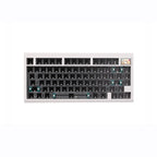 White / No Switches