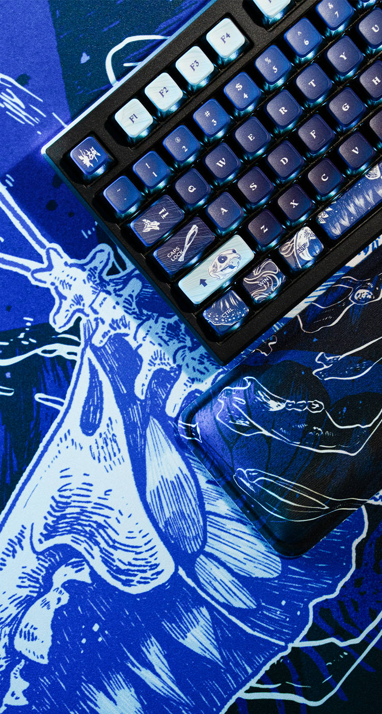 Hero_Banner_Phone_Format