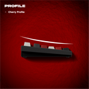 Thekapco x Peanuts | Urban Japan Collector's Bundle - Red Echo