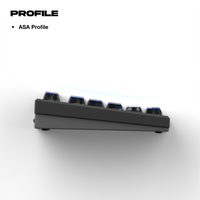 Thekapco x Blurblur | Necro-Entomology Keycaps