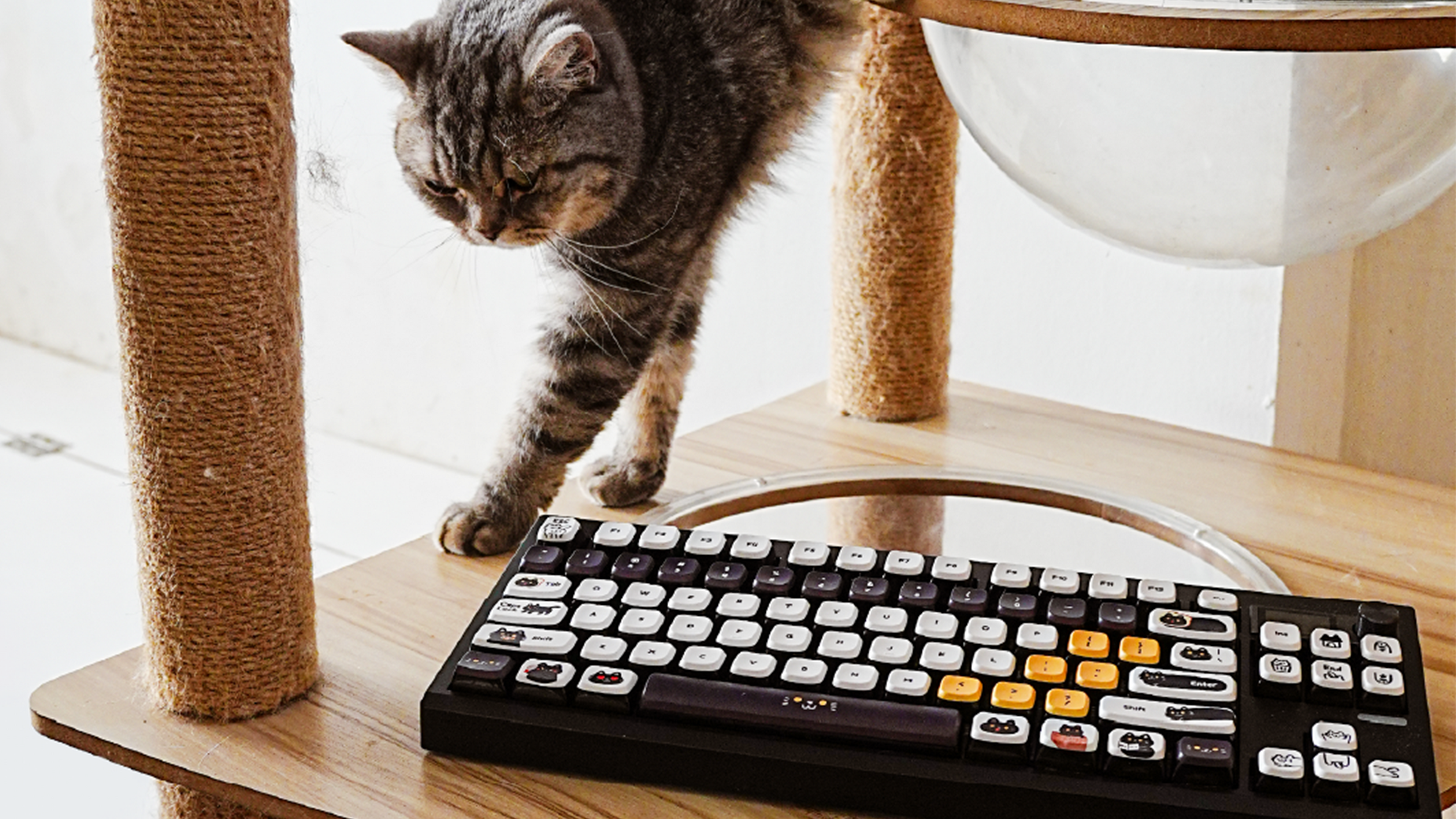 Radio_3_271e7c19-d6f3-4709-829b-d1aa6616edeb